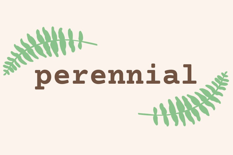 perennial (YHack 2026 Winner) — preview